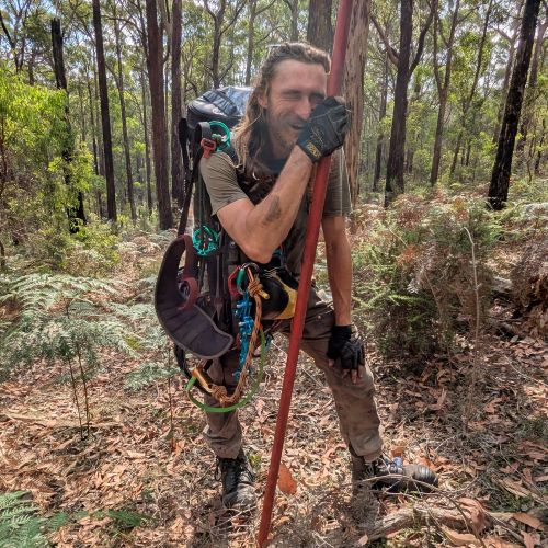 Navigate to the Arboriculture Tree Industry page