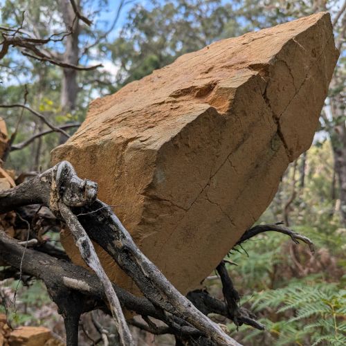 Navigate to the Council Software Solutions page