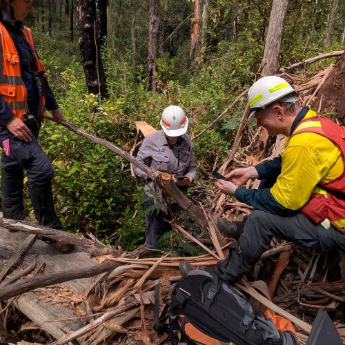 Navigate to the Environmental Compliance page