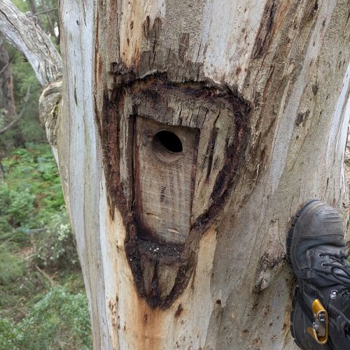 Navigate to the Environmental Reporting page