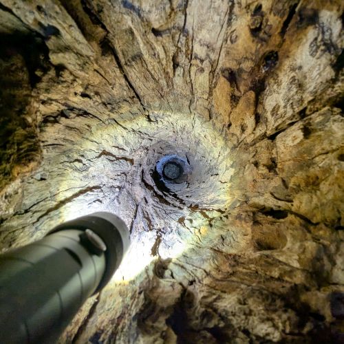 Navigate to the Free Citizen Science App page