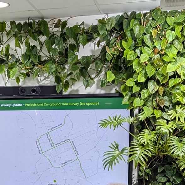 Image of green leaves and a computer screen showing a map. Presentational image to provide balance at the bottom of the page.